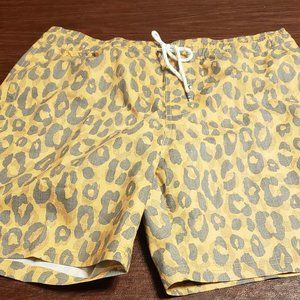 Men's Swim Trunks
